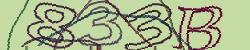 Darstellung des Captcha-Codes.