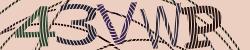 Darstellung des Captcha-Codes.