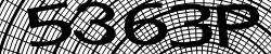 Darstellung des Captcha-Codes.
