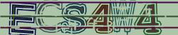 Darstellung des Captcha-Codes.