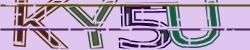 Darstellung des Captcha-Codes.