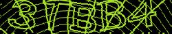 Darstellung des Captcha-Codes.