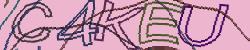 Darstellung des Captcha-Codes.