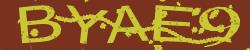 Darstellung des Captcha-Codes.
