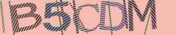 Darstellung des Captcha-Codes.