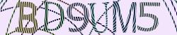 Darstellung des Captcha-Codes.