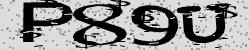 Darstellung des Captcha-Codes.