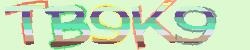 Darstellung des Captcha-Codes.