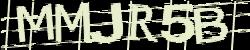 Darstellung des Captcha-Codes.