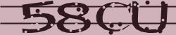 Darstellung des Captcha-Codes.