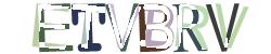 Darstellung des Captcha-Codes.