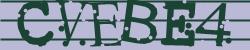 Darstellung des Captcha-Codes.