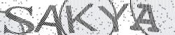 Darstellung des Captcha-Codes.