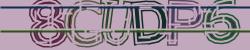 Darstellung des Captcha-Codes.