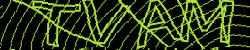 Darstellung des Captcha-Codes.