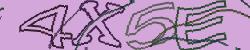 Darstellung des Captcha-Codes.