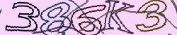 Darstellung des Captcha-Codes.