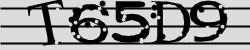 Darstellung des Captcha-Codes.