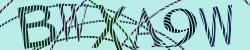 Darstellung des Captcha-Codes.