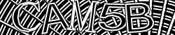 Darstellung des Captcha-Codes.