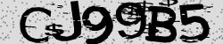Darstellung des Captcha-Codes.