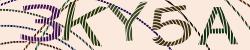 Darstellung des Captcha-Codes.