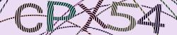 Darstellung des Captcha-Codes.