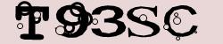 Darstellung des Captcha-Codes.