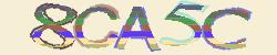 Darstellung des Captcha-Codes.