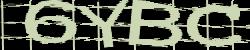 Darstellung des Captcha-Codes.